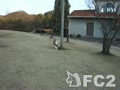 動画:今日も歌います